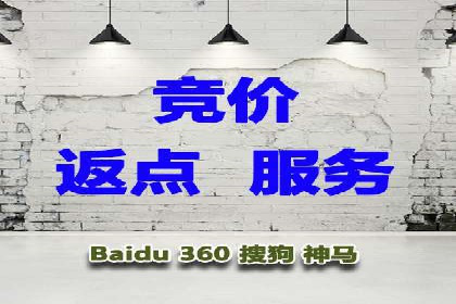 案例分析：SEM推广助力行业竞争突围